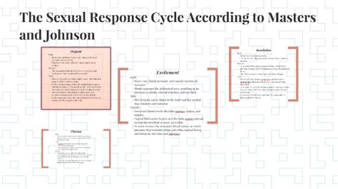 The Sexual Response Cycle According To Masters And Johnson By Jerry