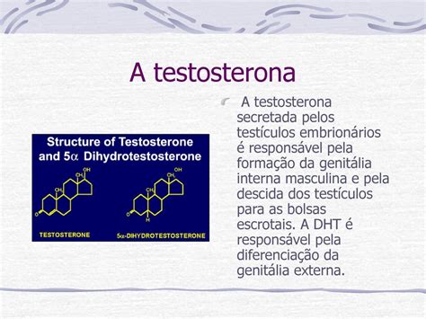 O Controle Gen Tico Da Determina O E Diferencia O Sexual Ppt Carregar