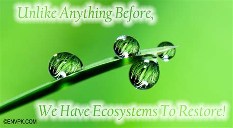 20 Environmental And Ecosystem Restoration Slogans Pictures