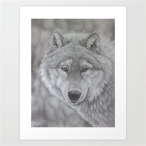 Black Wolf Pencil Drawing