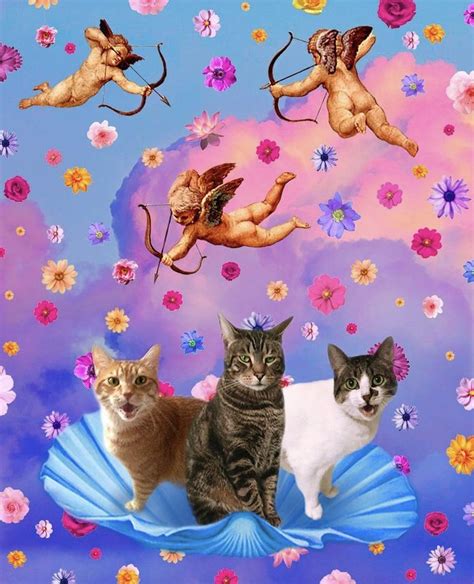 Cute Cat Collage Aesthetic