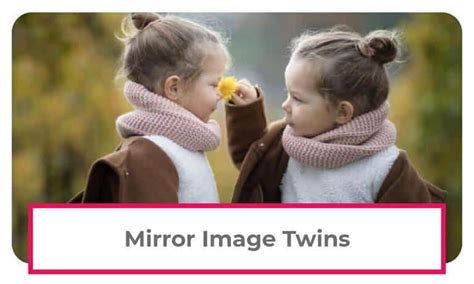 What Are Mirror Image Twins: Answers to Common Mirror Twin Questions ...