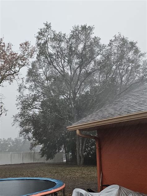 Photos Video Trees Down Streets Flooded After Storms Move Through