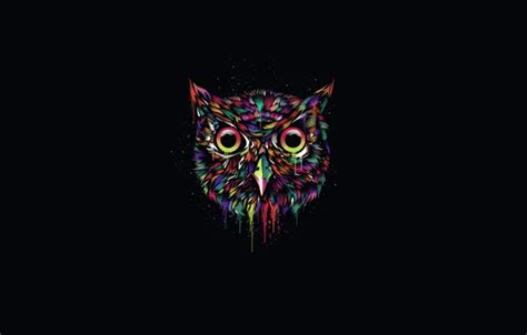 Download wallpaper the dark background, owl, paint, minimalism, owl ...