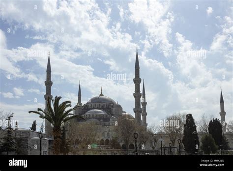 Ottoman empire architecture Blue Mosque. (Sultan Ahmet Mosque) behind the palm trees in Istanbul ...