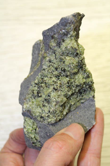 Mineral - Olivine in basalt - 11 cm - Catawiki