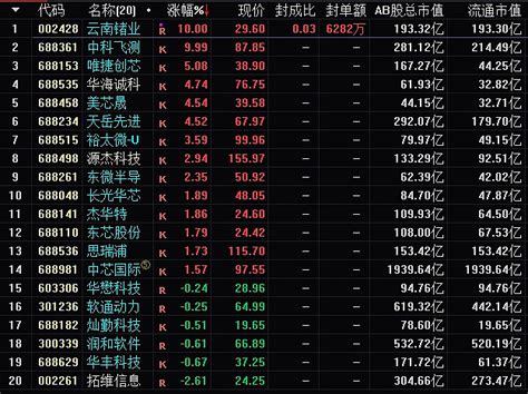 华为参股是一条暗线 一是哈勃基金参股。二是通过致远星火基金参股。据报道，远致星火是华为通过旗下哈勃投资与产发集团、深圳资本合作设立的股权投资