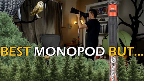 I Tried The Best Monopod Ever Made on Nikon Z6 III (Fotopro X Airfly ...