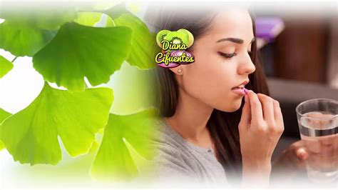 Beneficios Del Ginkgo Biloba ¿que Es Y Para Que Sirve El Ginkgo Biloba Youtube