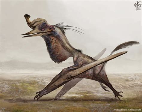 Quetzalcoatlus By Vincent Covielloart On Deviantart