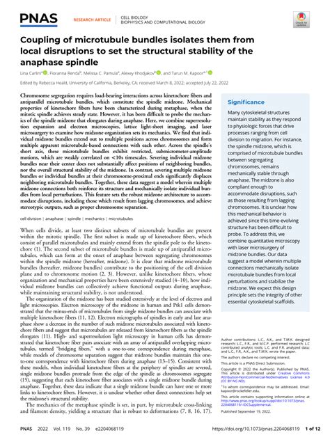 (PDF) Coupling of microtubule bundles isolates them from local ...