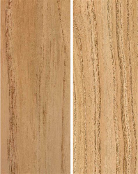 Maderas comerciales - Melia azedarach L. (Paraiso, persian lilac)