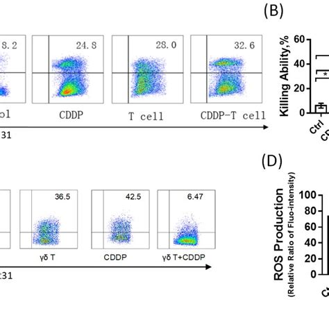 A Flow Cytometry Plot Analyses Of Mda Mb 231 Cell Viability In The Download Scientific