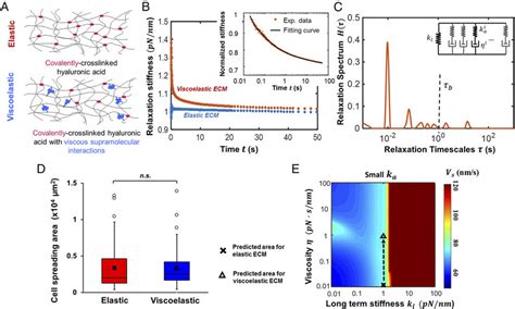 Model Explains That Viscosity Has No Effect On Cell Spreading For