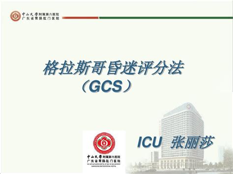 格拉斯哥昏迷评分法gcsword文档在线阅读与下载无忧文档