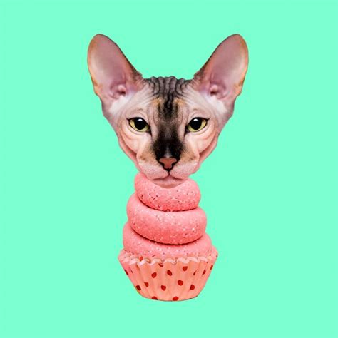 Premium Photo Pussy Cake Cat Contemporary Art Collage Funny Fast Food Project
