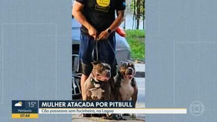 Mulher Atacada Por Pitbull Em Parque Da Zona Sul Do Rio Rio De