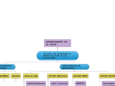 Determinantes De La Salud Mind Map