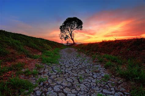 Wallpaper Sunlight Trees Landscape Forest Sunset Hill Nature