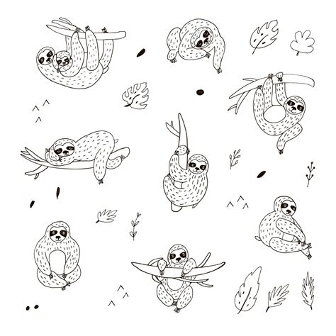 Premium Vector | Sloth animal vector illustrations line set