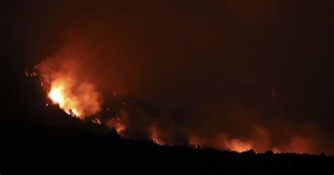 En Argentina Incendios Arrasan Con Los Bosques Nativos De La Patagonia