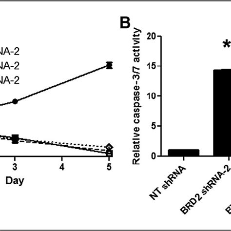 Knockdown Of Bet Proteins Leads To Antiproliferative And Antisurvival