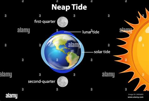 Tides Diagram