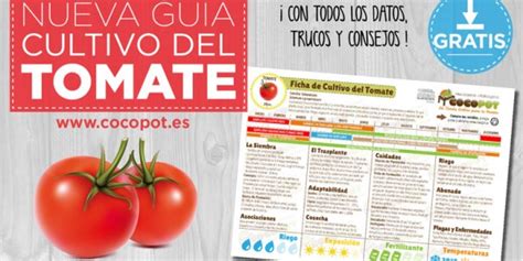 Trucos Para Germinar Semillas De Tomate Blog Cocopot Huerto Y Jard N