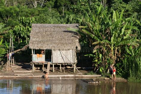 Indigenous House editorial stock photo. Image of trees - 29042413