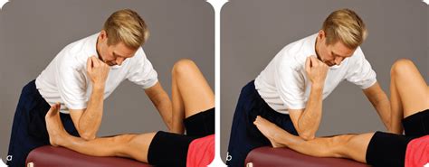 Massage And Soft Tissue Release For Shin Splints Human Kinetics