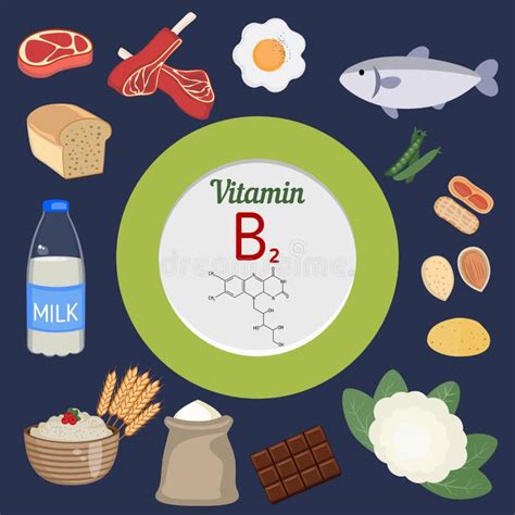 Vitamin B2 Riboflavin Infographic Stock Illustrations 32 Vitamin B2 Riboflavin Infographic