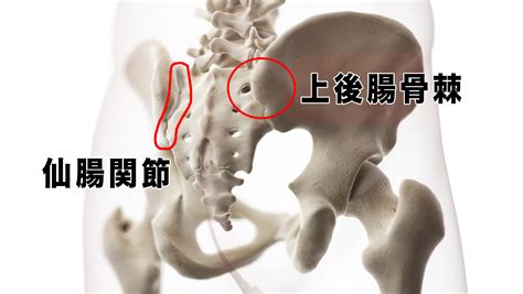 【仙腸関節障害】仙腸関節がロックした時の外し方 ゆかい整体（癒快グループ）