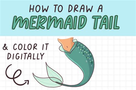 How To Draw A Mermaid Tail Draw Cartoon Style