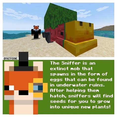 What Is The Sniffer Mob Minecraft Mob Vote Minecraft Know Your Meme