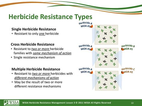 What Is Herbicide Resistance Ppt Download