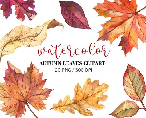 Watercolor Fall Leaves Clipart, Fall Clipart, Autumn Decor, Woodland ...