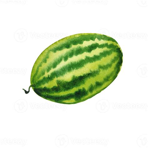 Watercolor Fruit Slice Of Watermelon 12286441 Png