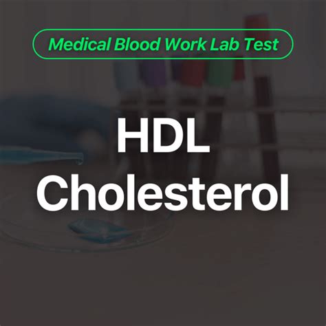 HDL Cholesterol Blood Work Test Wittmer Rejuvenation Clinic