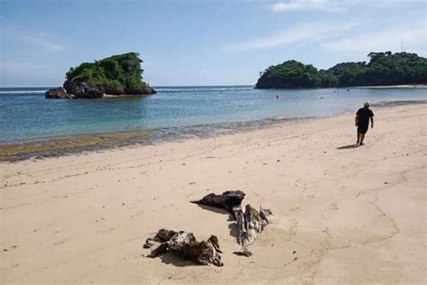 Pantai Kondang Merak Malang