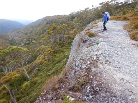 Overland Track Tasmania Guided Tours Wild Trek Tours