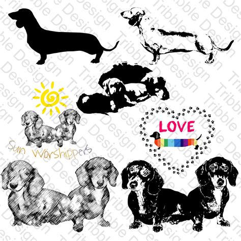 Dachshund Bundle Svg Dachshunds Svg Cut Files Vinyl Decal Clipart