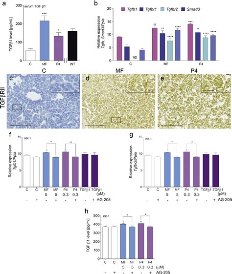 Figure 4 From Molecular Mechanisms Underlying Mifepristones Agonistic