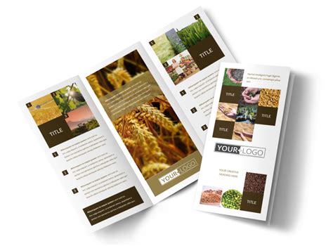 Seed Technology Brochure Template | MyCreativeShop