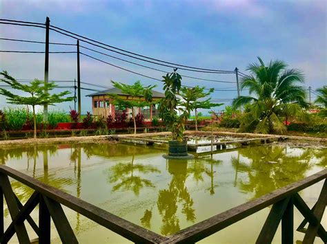 Tempat Menarik Di Kuala Selangor Yang Mesti Dilawati Bidadari My