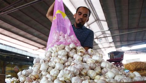 Nusabali Impor Bawang Putih Mendesak