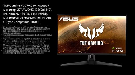 Монитор 27" ASUS TUF Gaming VG27AQ1A черный. Распаковка и тесты. - YouTube