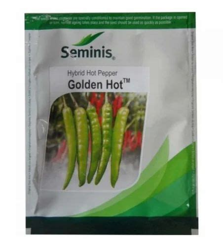Seminis Hybrid Chilli Seeds Goldan Hot Seeds Packaging Size Gm At Pack In Palanpur