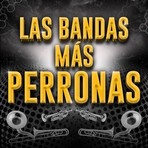 Nadie Como Tú Lyrics - Las Bandas Más Perronas - Only on JioSaavn