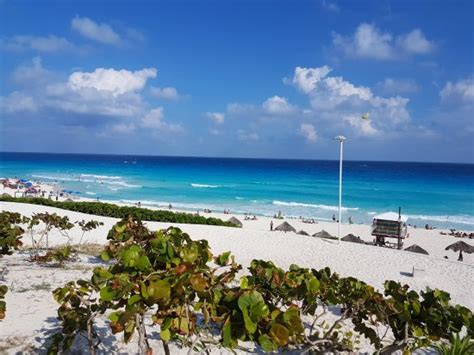 Playa Delfines Canc N Lo Que Se Debe Saber Antes De Viajar