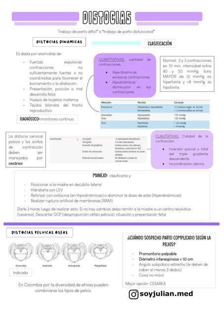 Res Menes De Distocias P Lvicas Seas Descarga Apuntes De Distocias